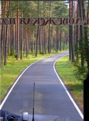 Дорожка через лес проходит ровная и аккуратная, как и все в этом заповеднике, да и вообще в Беларуси :-)